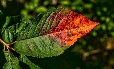 Green transition: trillions needed, billions missing Green transition: trillions needed, billions missing