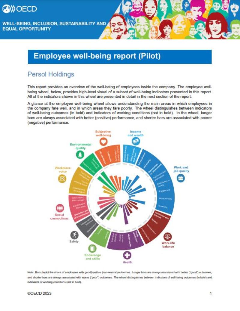 Employee well-being report (Pilot)