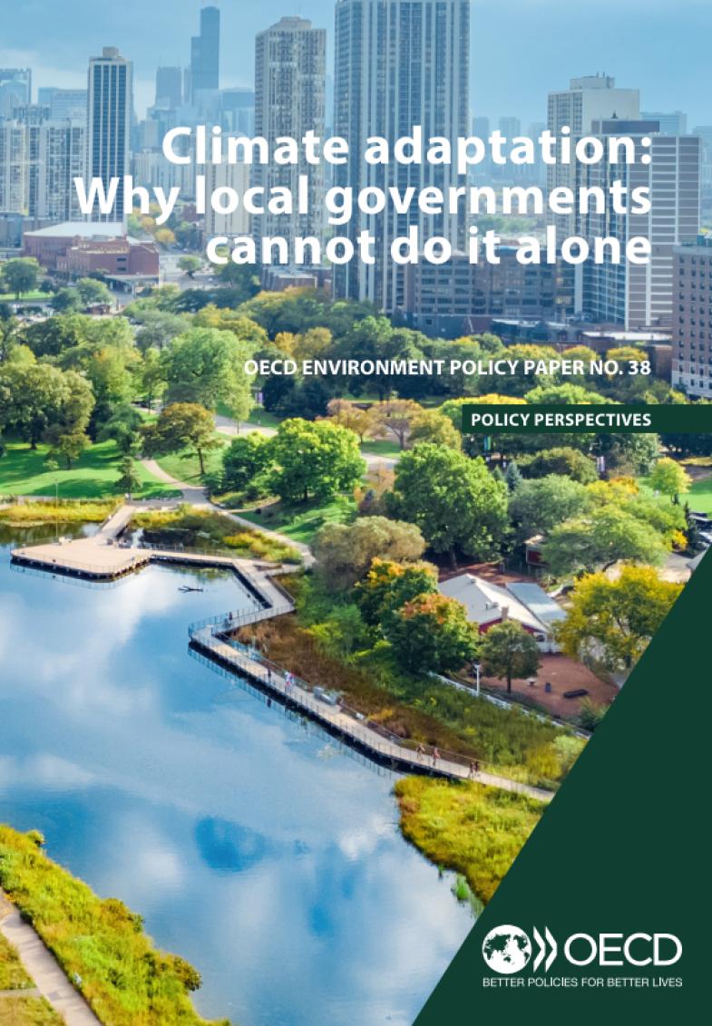 Climate adaptation: Why local governments cannot do it alone