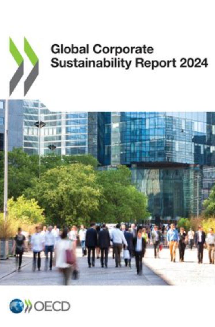 Global Corporate Sustainability Report 2024